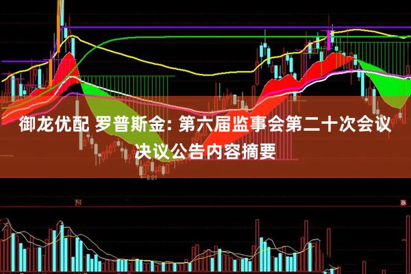 御龙优配 罗普斯金: 第六届监事会第二十次会议决议公告内容摘要