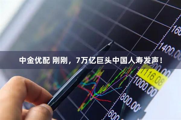 中金优配 刚刚，7万亿巨头中国人寿发声！