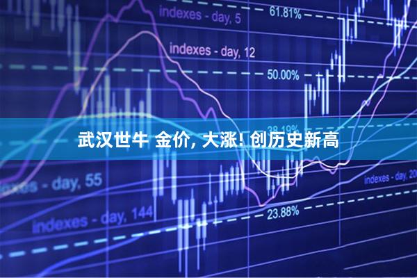 武汉世牛 金价, 大涨! 创历史新高