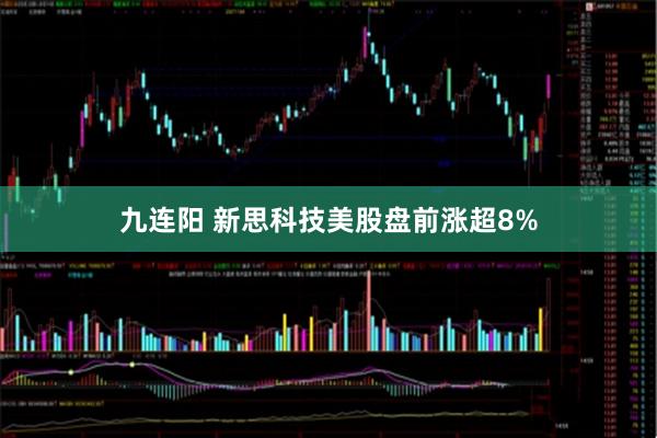 九连阳 新思科技美股盘前涨超8%