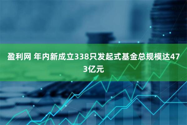 盈利网 年内新成立338只发起式基金总规模达473亿元