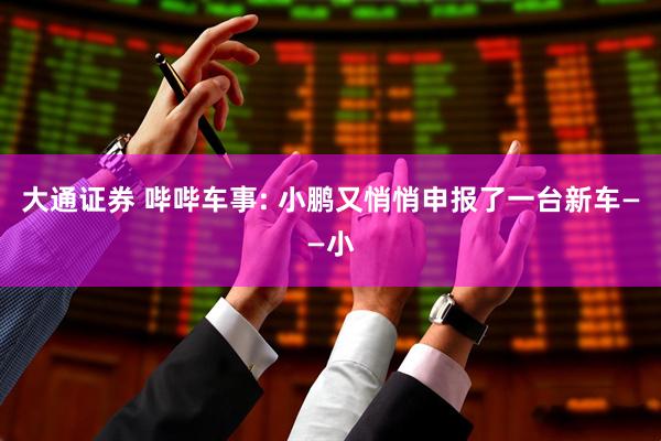 大通证券 哔哔车事: 小鹏又悄悄申报了一台新车——小