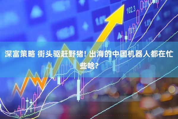 深富策略 街头驱赶野猪! 出海的中国机器人都在忙些啥?